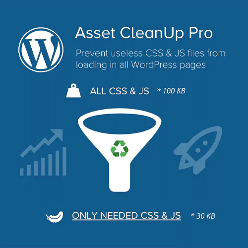 صفحه نخست افزونه Asset CleanUp Pro